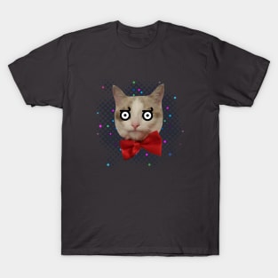 Disapproving Cat T-Shirt